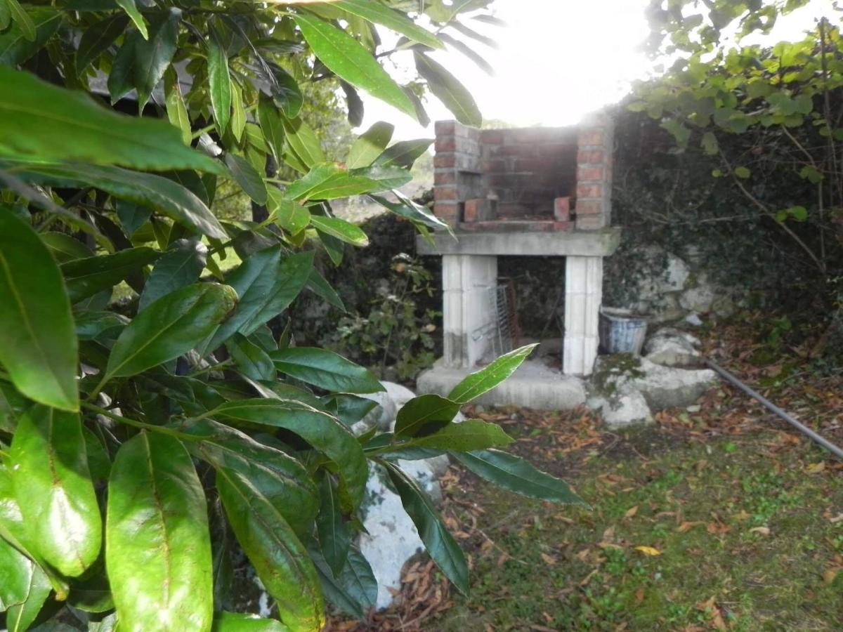 Apartamentos Rurales Vallanu Rodeados De Naturaleza En Llanes Y A 3 Kilometros De Las Playas Ngoại thất bức ảnh